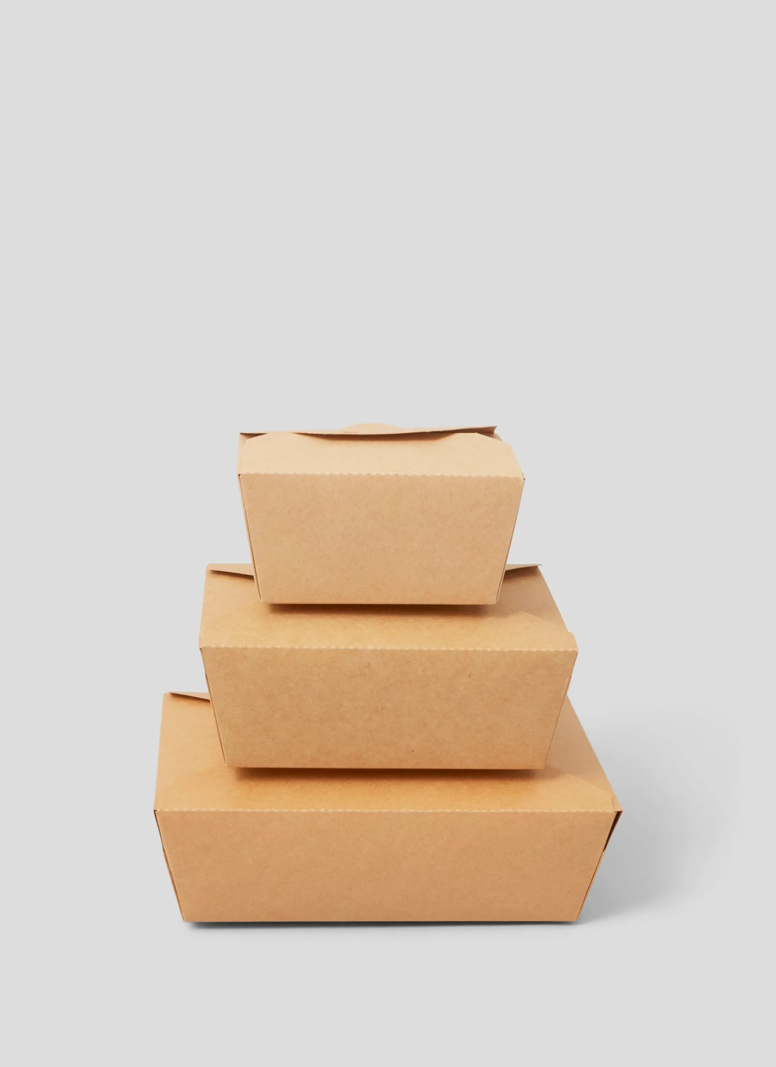 Takeaway Boxes - 69oz