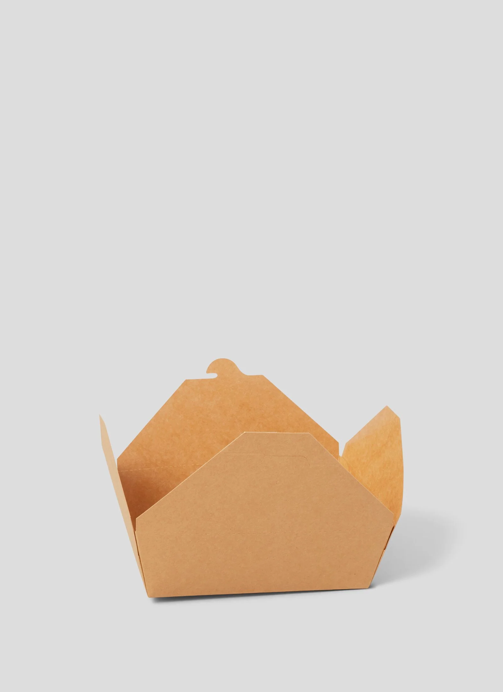 Takeaway Boxes - 45oz